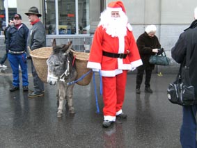 Heute in Bern: Esel mit Samichlaus